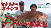 お手軽 簡単 ひとつテンヤ 真鯛やヒラメを次々とゲット 四季の釣り 年6月26日放送分 Youtube