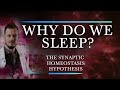 Is sleep the price we pay for plasticity  introduction to the synaptic homeostasis hypothesis