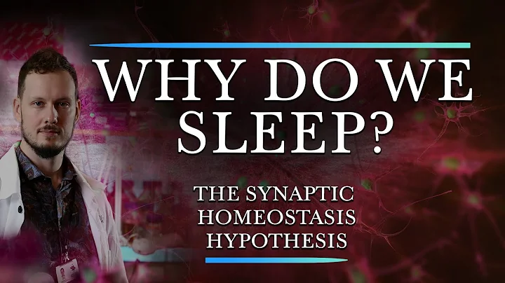 Is Sleep the Price we Pay for Plasticity? - Introduction to the Synaptic Homeostasis Hypothesis