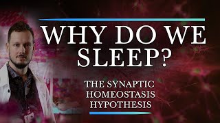Is Sleep the Price we Pay for Plasticity? - Introduction to the Synaptic Homeostasis Hypothesis