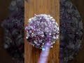 Transforming Trash into Treasure 💎: Unbelievable Jewelry Hacks 🫰