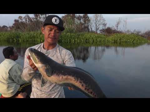 32 minutes of uncut Toman fishing video with Gong Lei