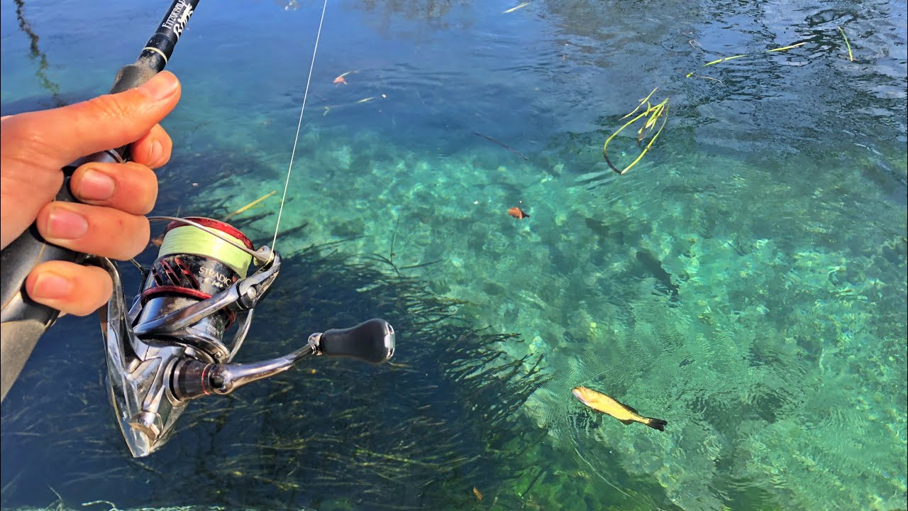 Fishing a Crystal Clear River in Texas 