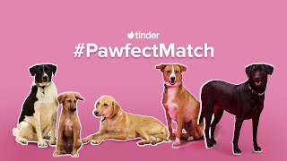 #PawfectMatch | Tinder India