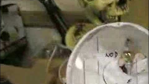 3-axis Lindberg Pirate Skull Capt Jack