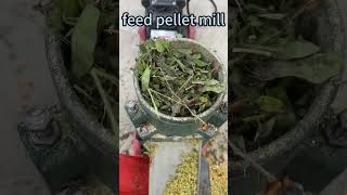 Whatsapp: +8613623835593 Pellet mill, biomass pellet mill, equipped with various production lines