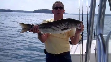 Trolling with Bruce 9-21-2012