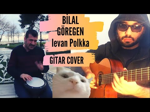 Bilal Göregen ve Gitar Cover - Ievan Polkka #catvibing #guitarmemes