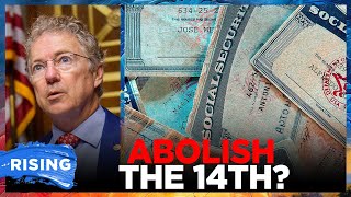 Rand Paul urges end to birthright citizenship as State Dept. cracks down on 'birth tourism' | RISING