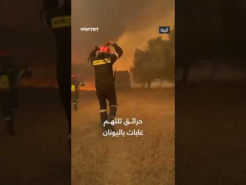 حرائق غابات اليونان: تدمير واسع النطاق
