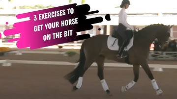 3 Dressage Exercises To Help You Get Your Horse On The Bit With George Williams