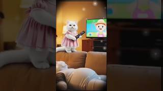 😺full night tv time 🖥️🎞️. #funnycatvideos #tvtime #catvideos #catfuntime #entertainment #ytshorts