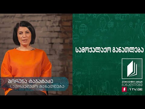 სამოქალაქო განათლება - ოჯახში ძალადობა - 15 მაისი, 2020 #ტელესკოლა