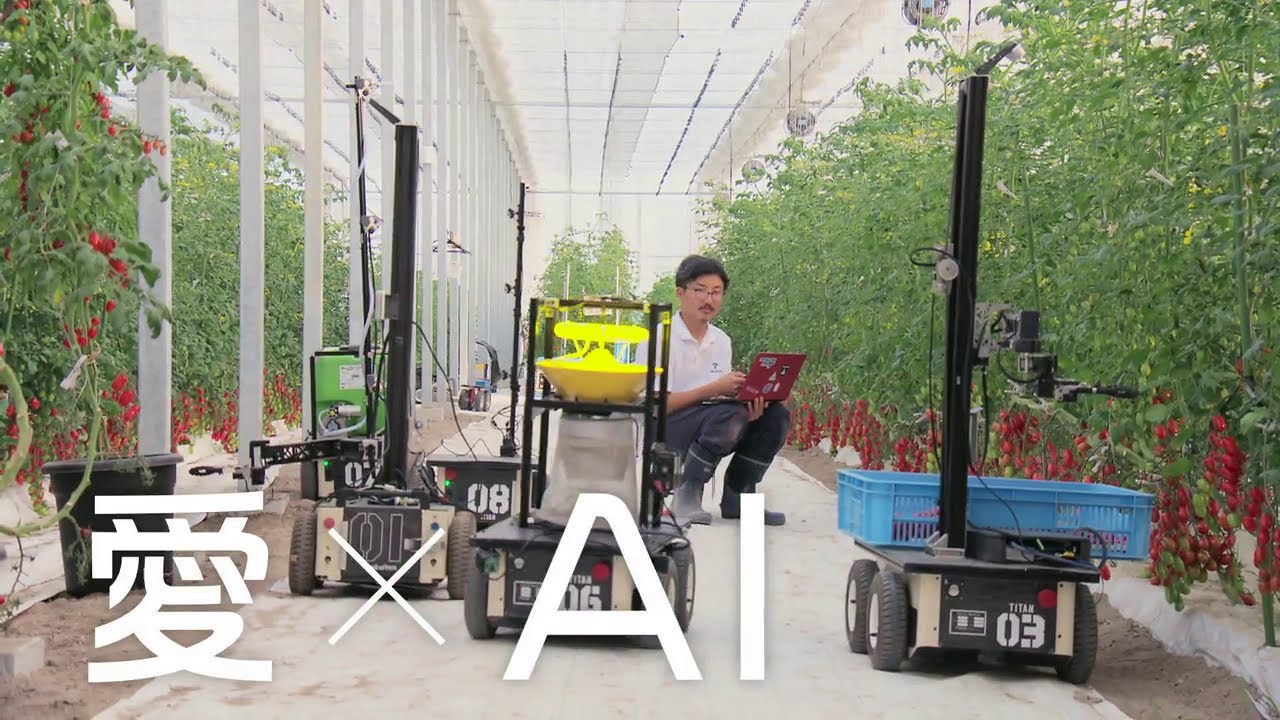 人の「愛」と「AI」で育てる持続可能なスマート農業地球にも人にも優しく 愛知 - YouTube