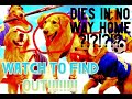 Air Bud Dies