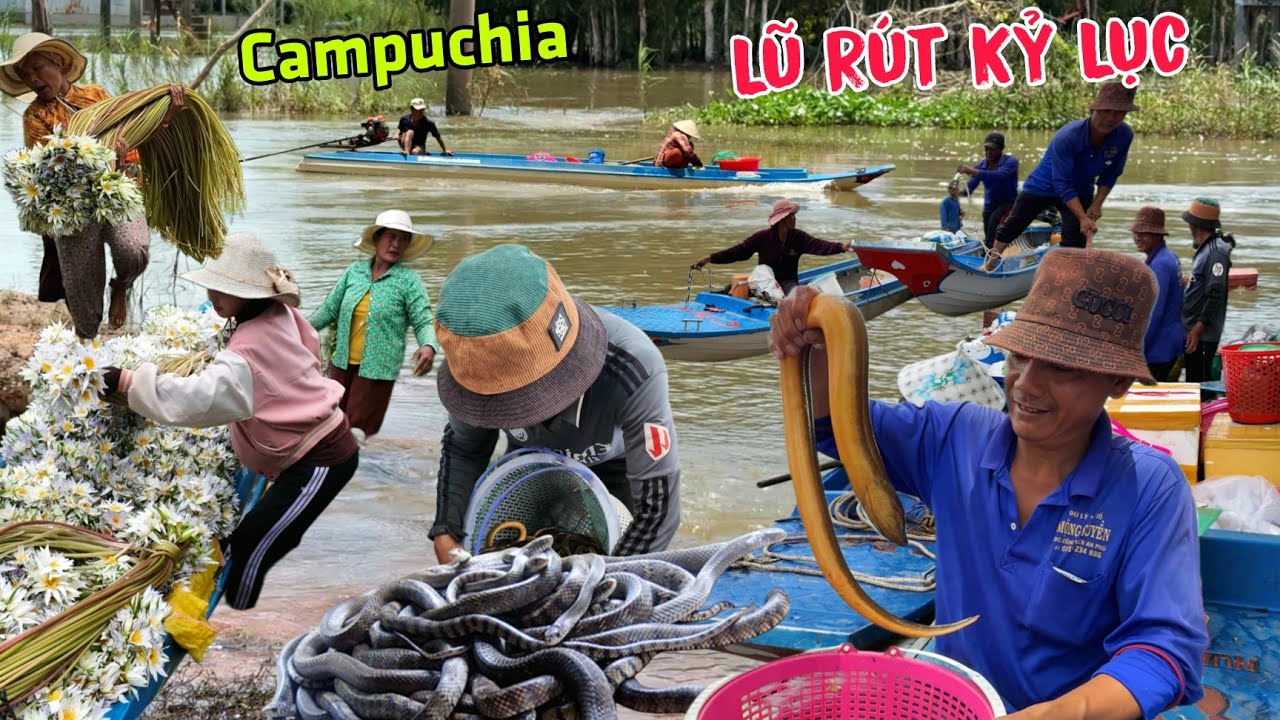 Lũ rút kỉ lục người Campuchia Ồ Ạt đem Rắn Chuột Lươn qua Biên giới Campuchia