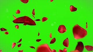 Rose Petals Falling Green Screen effects animations | FREE DOWNLOAD 4K