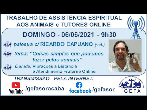 Assista: Trabalho de Assistência Espiritual aos Animais ONLINE - c/ RICARDO CAPUANO (06/06/2021)