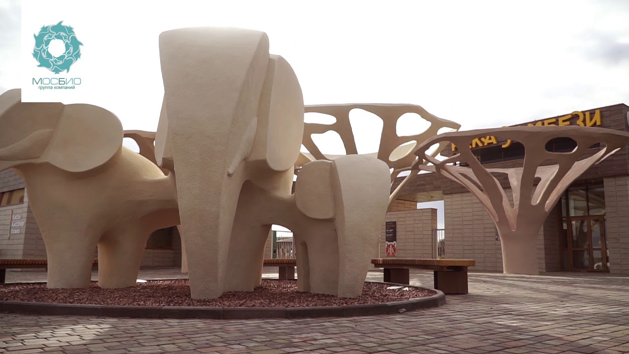 Зоопарк казань река замбези Зоопарк казань река замбези