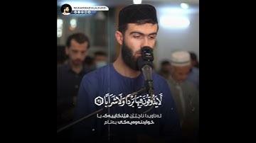 ابداع القارئ بمقام العجم ما تيسر من سورة النبأ الشيخ محمد جلال الكردي راحة نفسية