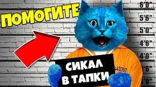 ПОМОГИТЕ МЕНЯ АРЕСТОВАЛИ ПОБЕГ ИЗ ТЮРЬМЫ СИМУЛЯТОР ВР / Prison Boss VR Jailbreak / КОТЁНОК ЛАЙК