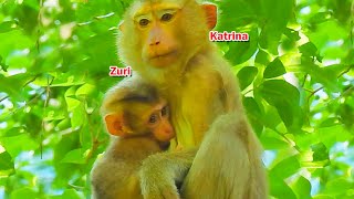 Wonderful moment.! Katrina breastfeeding milk to Zuri looks very sweetly