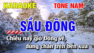 Karaoke Sầu Đông Tone Nam Nhạc Sống Dễ Hát | Nguyễn Linh