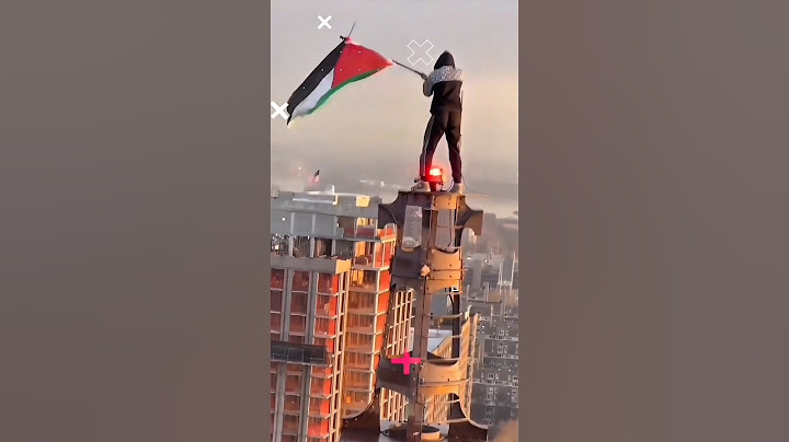 تونسي يلقب بشهيد العلم الفلسطيني