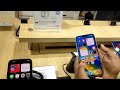 iPhone 14 Pro Max vs iPhone 14 Plus vs iPhone 14 quick Camera Test