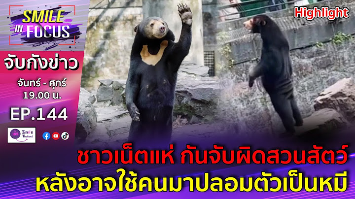 แห่จับผิดสวนสัตว์ อาจใช้คนมาปลอมตัวเป็นหมี | Smile Infocus