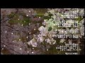 永井龍雲・・笹舟