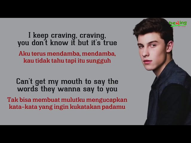 Shawn Mendes - Imagination - Lirik dan Terjemahan class=