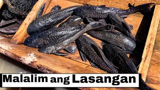 Ang lalim na naman ng Lasangan River at Ligawasan | LifewayPH - the daily life in the Philippines