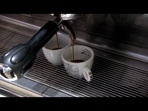 Vidéo: Comment le café cultivé au soleil affecte-t-il les environnements locaux ?