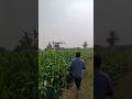 “సజ్జల కోసం నీళ్ల కష్టం – రైతు చేతుల్లో పుట్టే సంపద!”