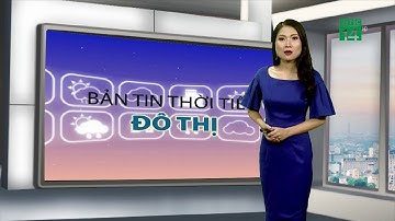 Thời tiết đô thị 08/08/2019: Đà Nẵng thời tiết đẹp, thuận lợi cho tham quan du lịch  | VTC14