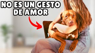 Lo que realmente SIENTE tu perro cuando LO ABRAZAS by Zona Perros 5,459 views 1 month ago 9 minutes, 13 seconds
