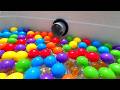 10,000 Water Marble Run ASMR: A compilation of the world's most soothing and relaxing videos.