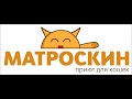 Приют для кошек Матроскин: новоселье после ремонта