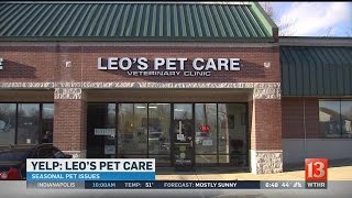 Yelp Best of Indy: Leo's Pet Care