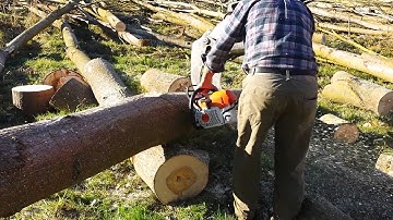 Stihl ms 362 cm