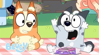 LIVE: Best Bluey Episodes from Series 3! | Unicorse, Mini Bluey, Pizza Girls, and More! | Bluey