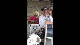 MUJER TRAICIONERA, PANCHITO Y ROY 