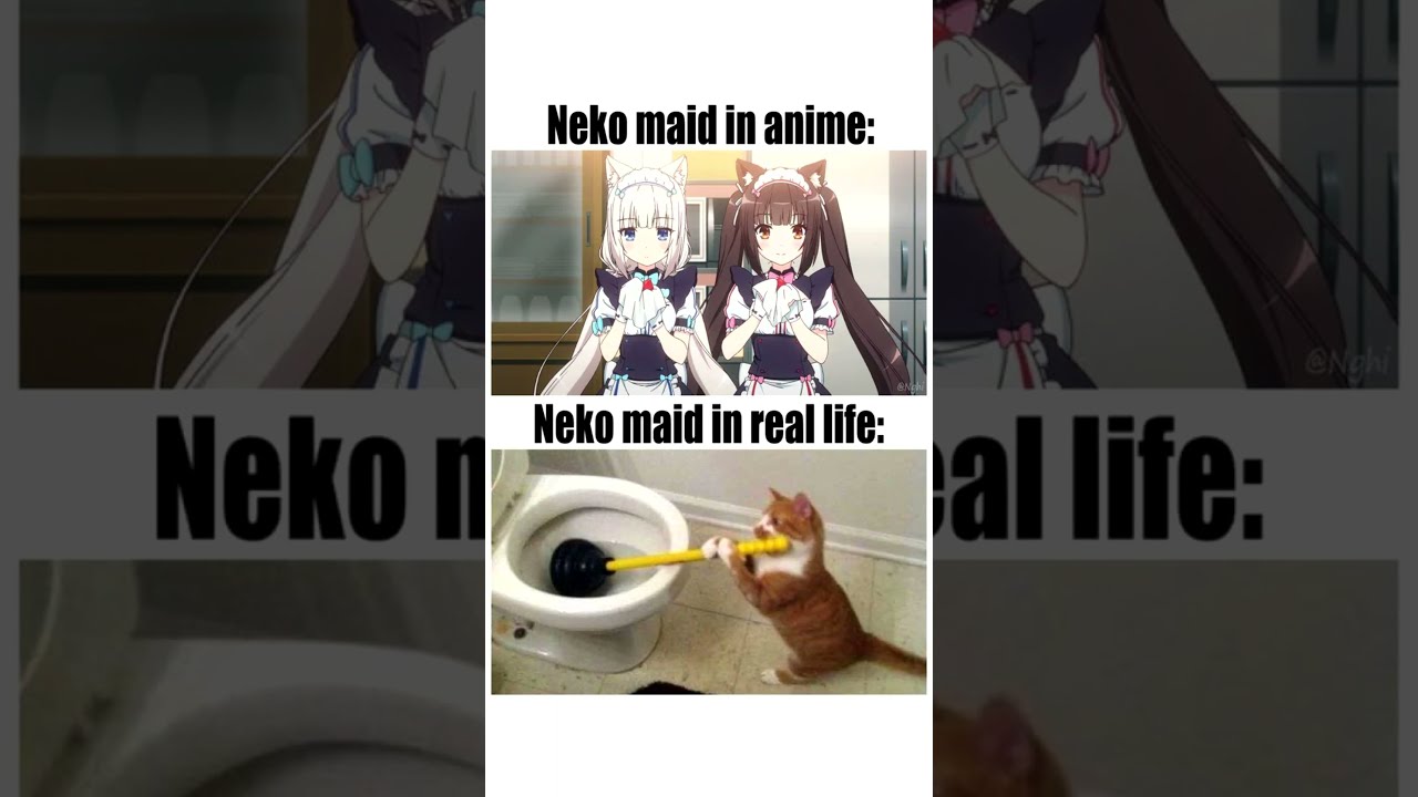 Anime Memes  I cringe when remembering the past sauce Another  Konosuba   Facebook