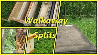 Walkaway Splits