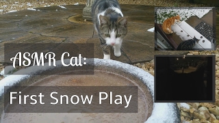 ASMR Cat: First Play in the Snow! [nature sounds, camera noises, walking, purring, no talking] by ASMR Cat Sounds 597 views 7 years ago 4 minutes, 35 seconds