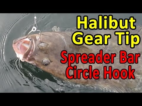 Circle Hooks for Halibut Fishing