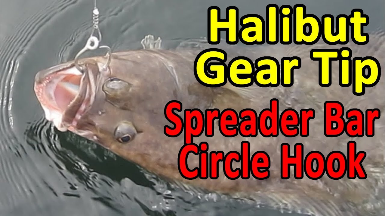 HALIBUT RIGS - CIRCLE HOOK AND SPREADER BAR SETUP - Fishing Tips