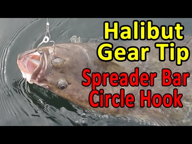 HALIBUT RIGS - CIRCLE HOOK AND SPREADER BAR SETUP - Fishing Tips