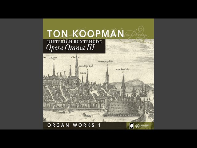 Ton Koopman - Ciacona in E Minor, BuxWV 160
